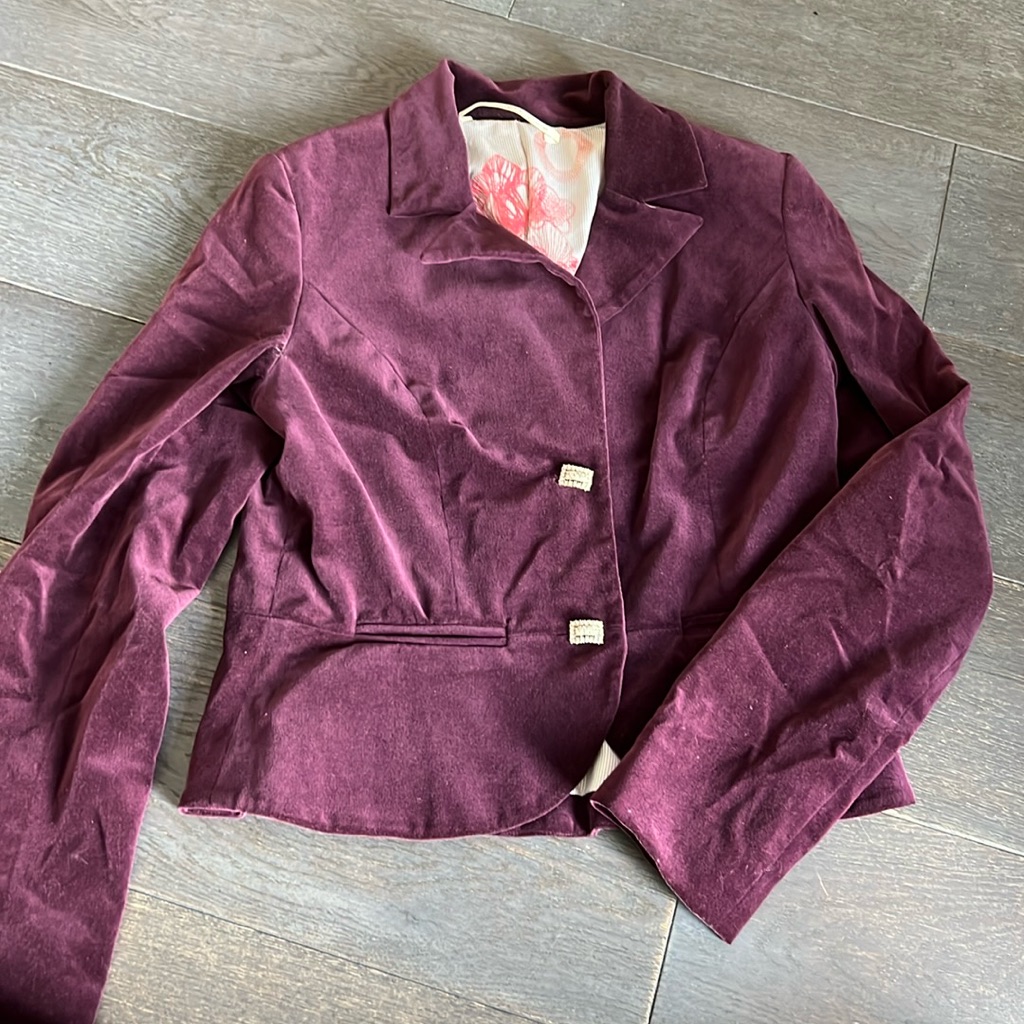 Twelfth Street By Cynthia Vincent Velvet Fitted Blazer